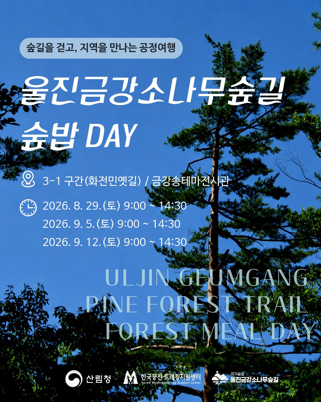 팝업이미지